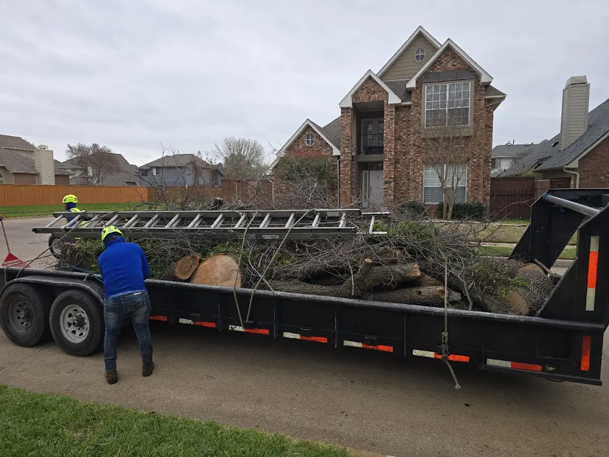 Expert Lot Clearing with proper safety equipment in Stewart